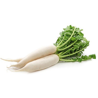 NABO KG KG