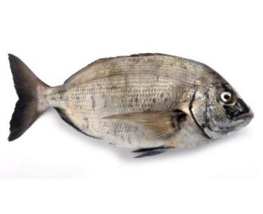 PESCADO SARGO POR KG