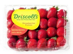 FRESA CAJA CON 900GR
