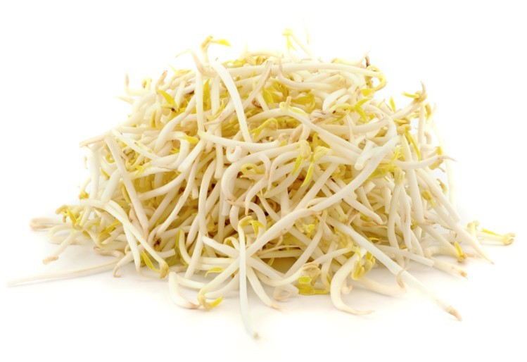 Brotes de soya /KG